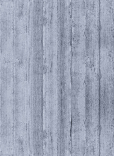 攻击网站服务器