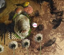 Web漏洞扫描工具